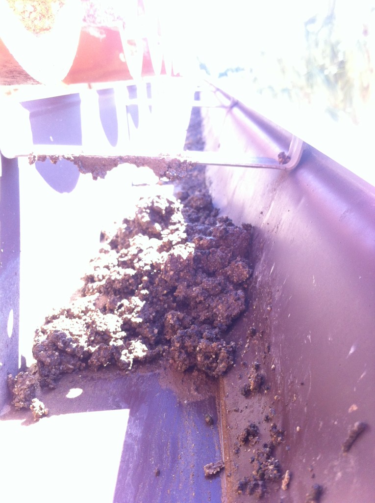 Limpieza de canalón en Torrent