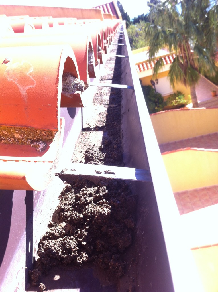 Limpieza de canalón Alcossebre